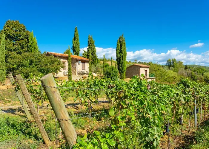 Casale Silvia Терни